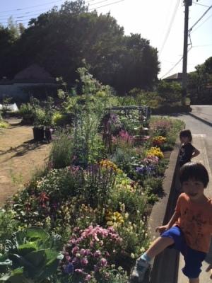 カラフルなお花が咲く道沿いにある花壇の前に男の子と女の子がいる写真