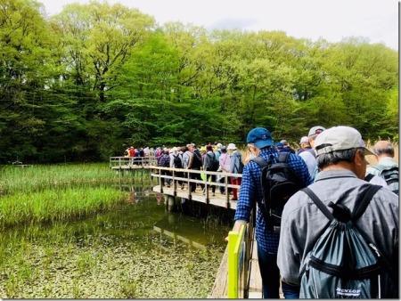 たくさんの参加者が池の上に設置された橋を渡っている様子の写真