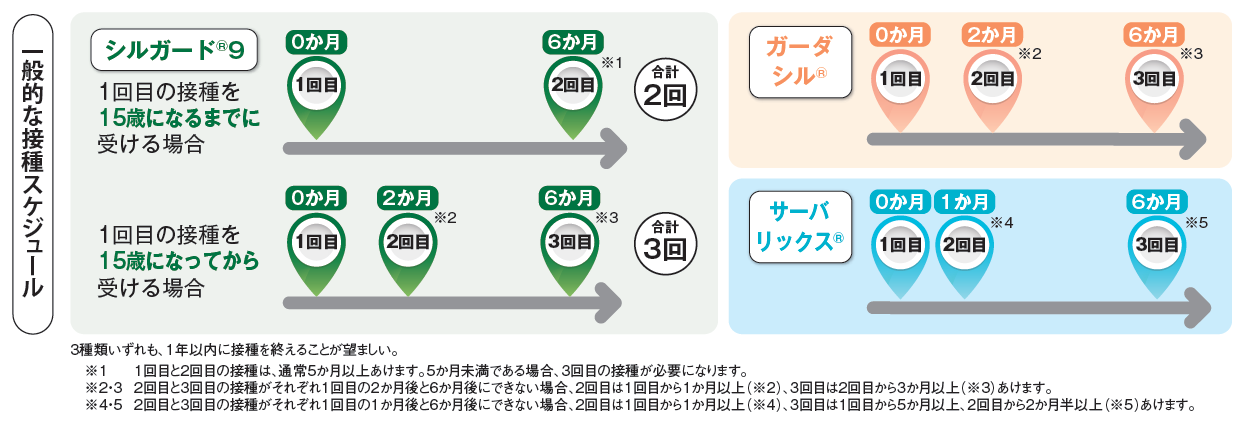 HPV接種スケジュール