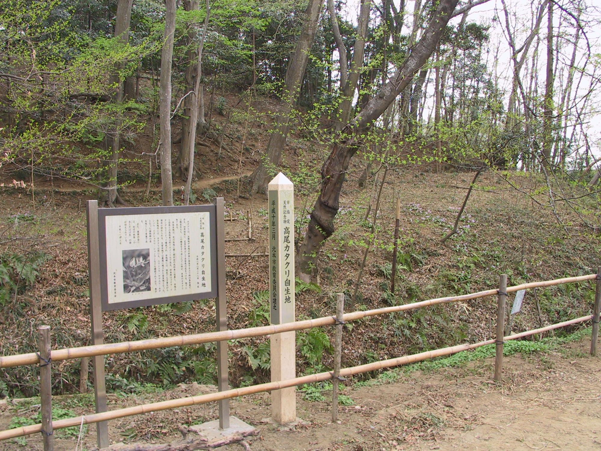 高尾カタクリ自生地