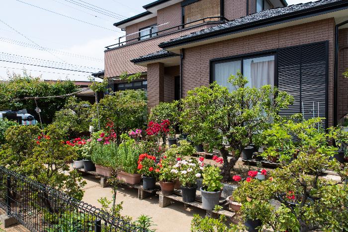松本庭の庭写真