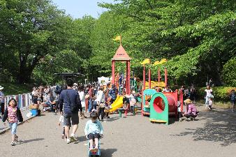 北本市子供公園の夏の時期の写真です