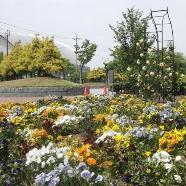 きたもとオープンガーデン2023北本総合公園