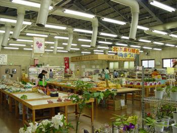 たくさんの野菜や果物が並んでいる桜国屋店内の全体写真