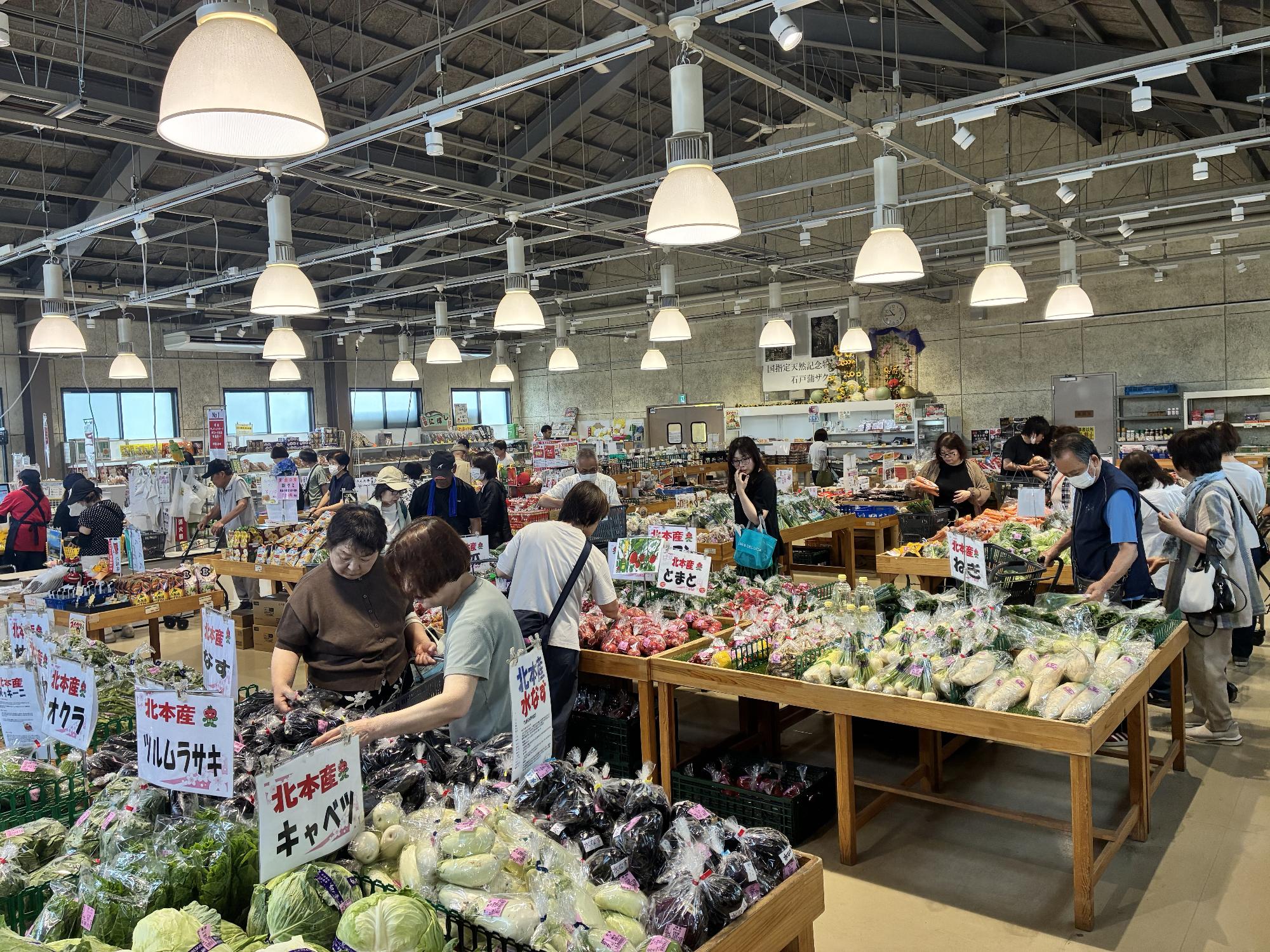 きたもと「四季の恵み」マルシェ内観2