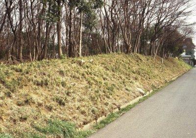 道沿いに低地な傾斜地があり上に林がある上手館跡の写真