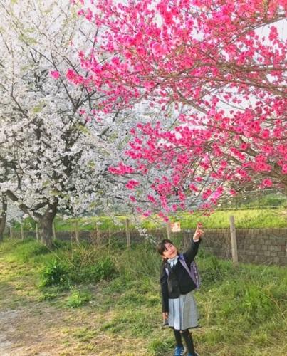 蒲ザクラ駐車場の桜と子ども