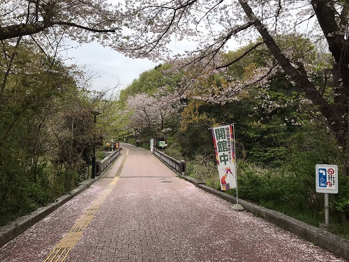 自然観察公園入り口