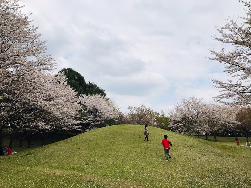 高尾さくら公園