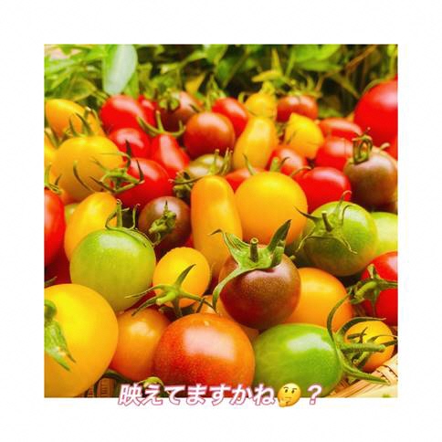 かごに乗った色とりどりのミニトマト写真2