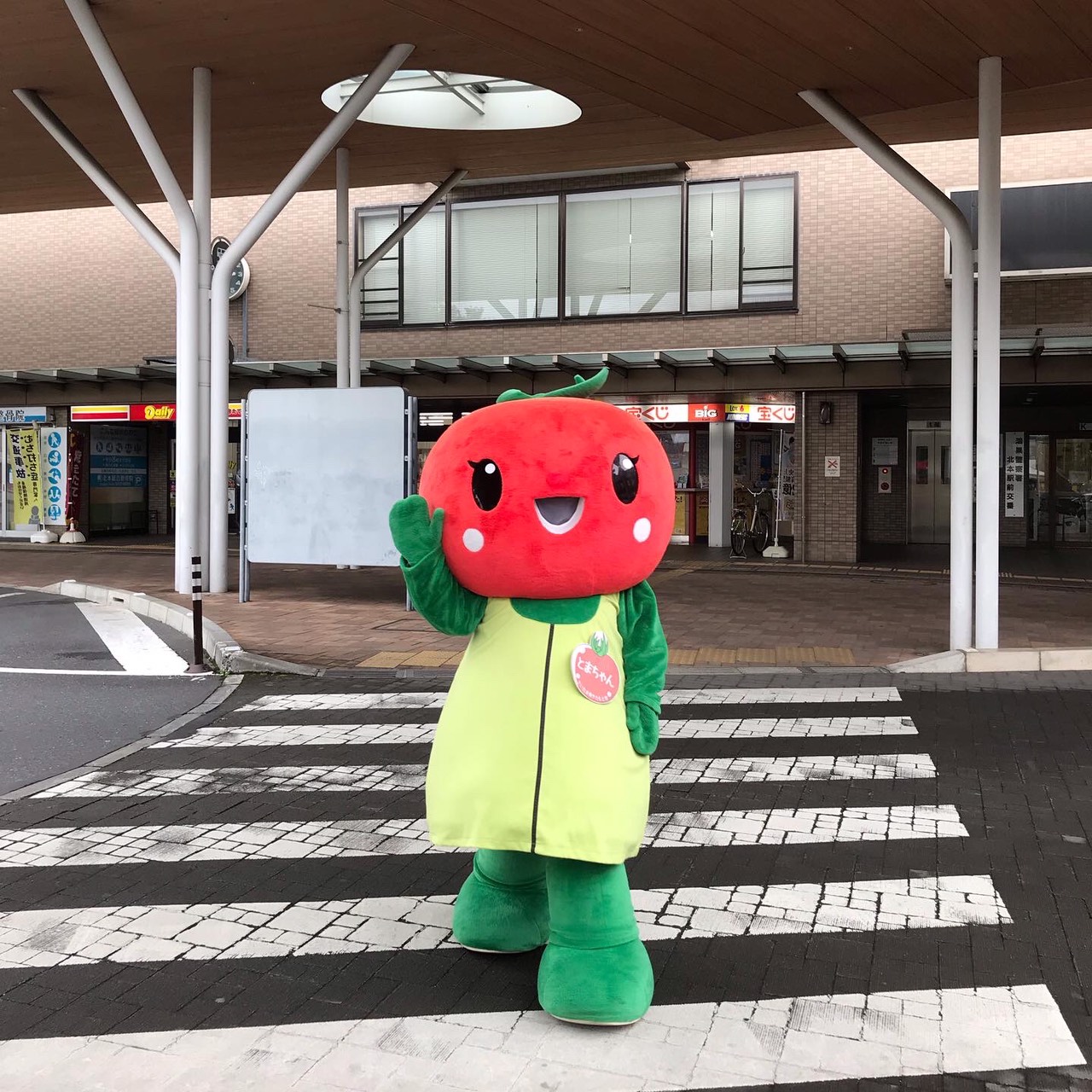 とまちゃんが横断歩道を渡り、こちらへ向かってくる様子