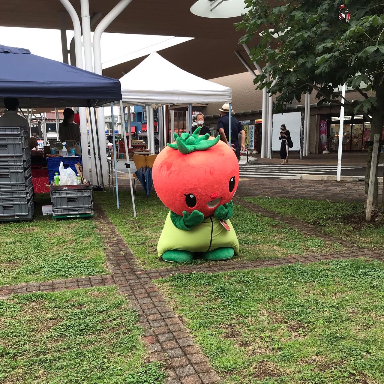 とまちゃんが芝生でしゃがみこんでいる様子