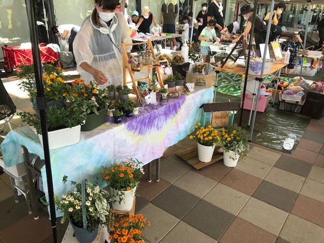 鉢植えの花や多肉植物を販売する店