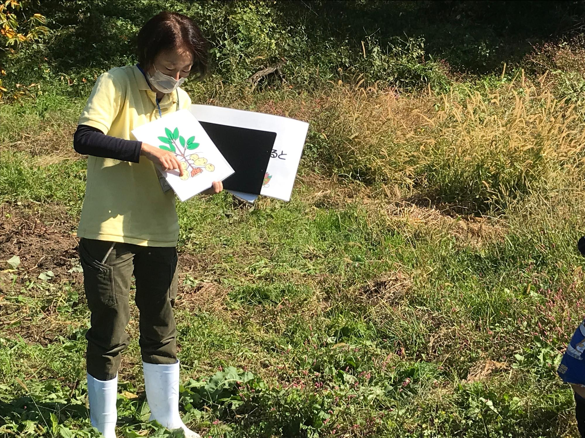 手に持ったイラストで芋についての豆知識を開設する女性