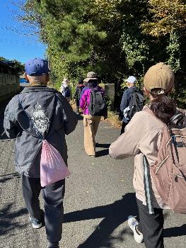 ウォーキングする参加者の後ろ姿