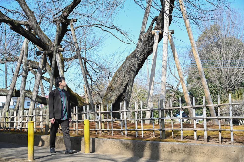 蒲ザクラの横を歩く迫田さんの写真