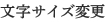 文字サイズ変更